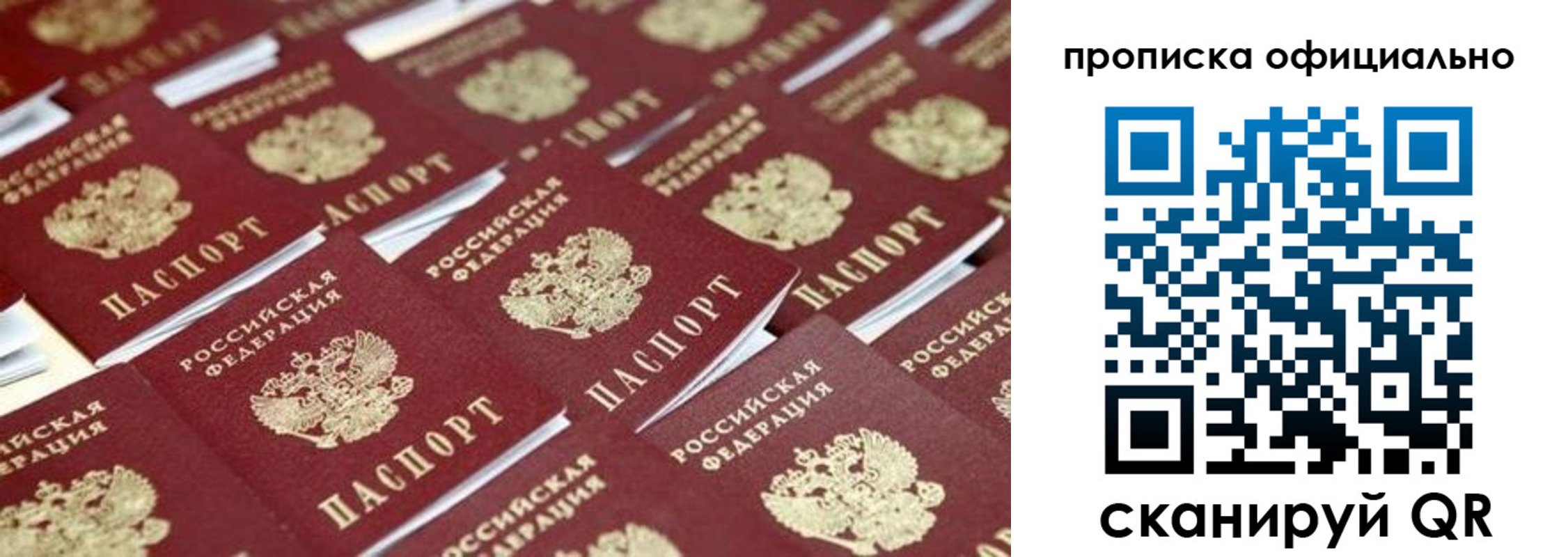 прописка гарантия в Рязани